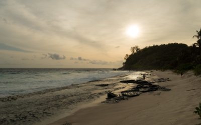 Police Bay Seychelles: A Serene Coastal Escape with Rich Marine Life