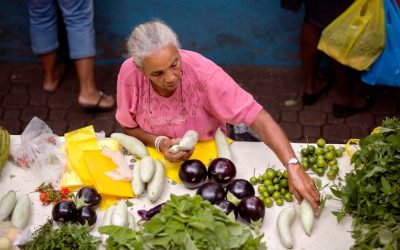 Discover the Vibrant Charm and Strategic Importance of Port Victoria Seychelles
