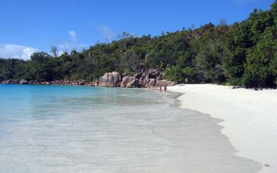 Explore the Stunning Beaches and Natural Wonders of Praslin in the Seychelles