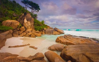 Seychelles appoints new president amid nation’s economic recovery efforts