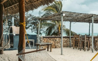 Tanzania’s President: Leading the Nation Toward Development and Progress