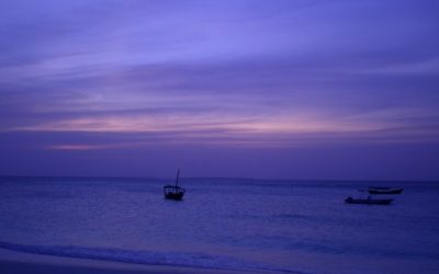 Discover Unparalleled Comfort and Scenic Beauty at Top Resorts in Zanzibar, Tanzania