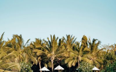 Experience Luxury and Serenity at Royal Zanzibar Beach Resort in Tanzania