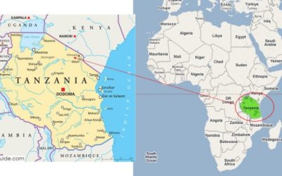 Experience the Ultimate Adventure: Safari in Tanzania for Unforgettable Wildlife Encounters