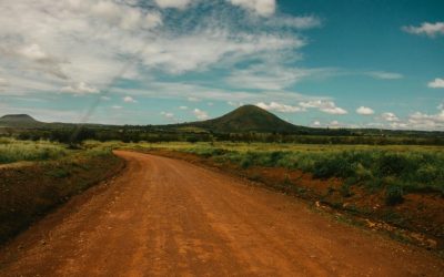 Experience the Wild Beauty of Safari in Tanzania’s Iconic Landscapes