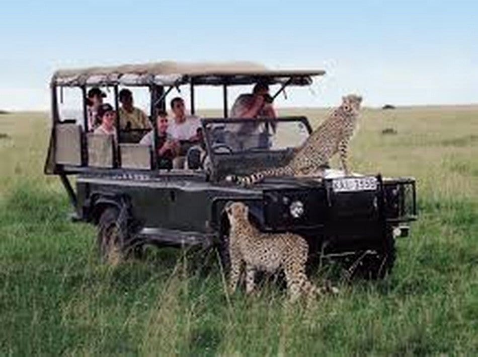 safari_tour_tanzania_(48).jpg