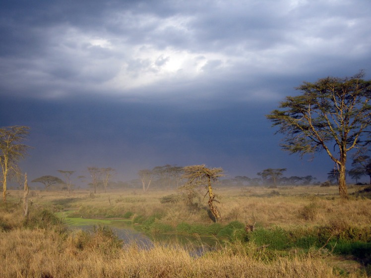 serengeti_plains_tanzania_(8).jpeg