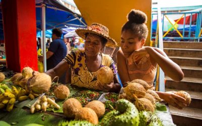 Discover the Natural Beauty and Unique Charm of Seychelles Islands in Africa