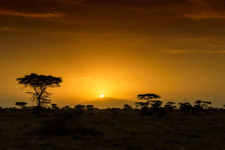 Tanzania Emerges as a Prominent Hub for Eco-Tourism and Wildlife Conservation in East Africa