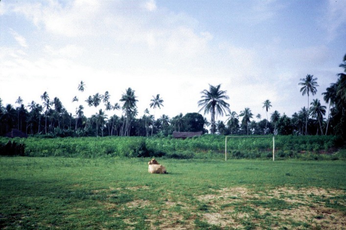 tanzania_football_(42).jpeg