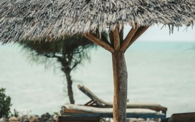Discover the stunning beaches and vibrant culture of Zanzibar, the jewel of Tanzania’s islands