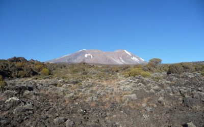 Tanzania’s Kilimanjaro Airport Enhances Travel Experience for Adventurers and Tourists