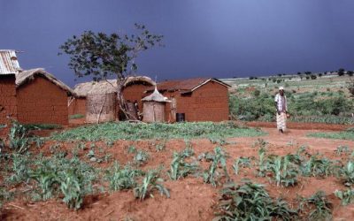 Experience Ultimate Elegance with a Luxury Tour in Tanzania