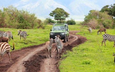 Discover the Ultimate Adventure with Exclusive Tanzania Safari Tours