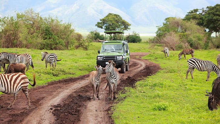 tanzania_safari_tours_(12).jpg